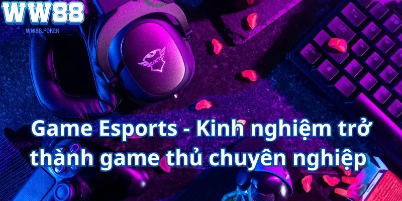 Game Esports - Kinh nghiệm trở thành game thủ chuyên nghiệp