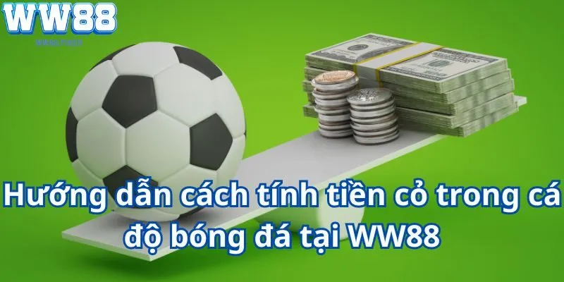 Hướng dẫn cách tính tiền cỏ trong cá độ bóng đá tại WW88