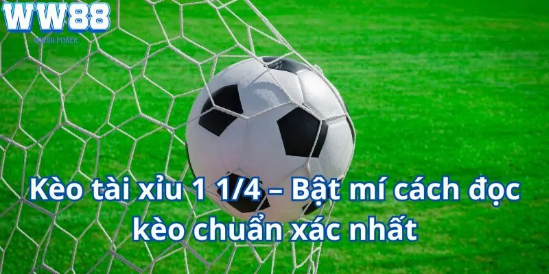 Kèo Tài Xỉu 1 1/4 – Bật Mí Cách Đọc Kèo Chuẩn Xác Nhất