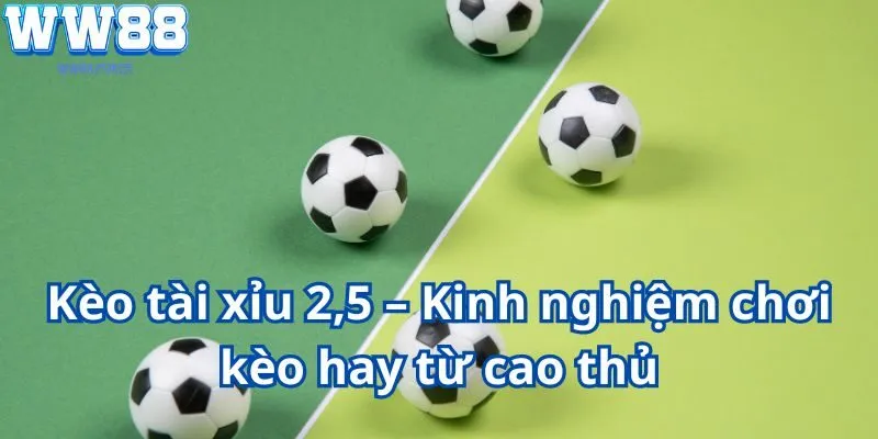 Kèo tài xỉu 2.5 – Kinh nghiệm chơi kèo hay từ cao thủ