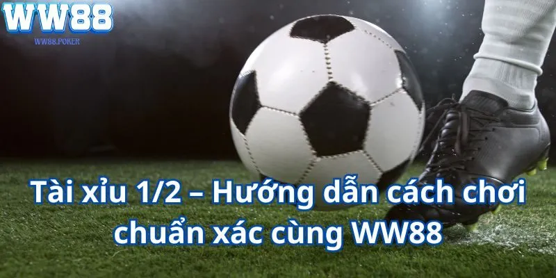 Tài xỉu 1/2 – Hướng dẫn cách chơi chuẩn xác cùng WW88